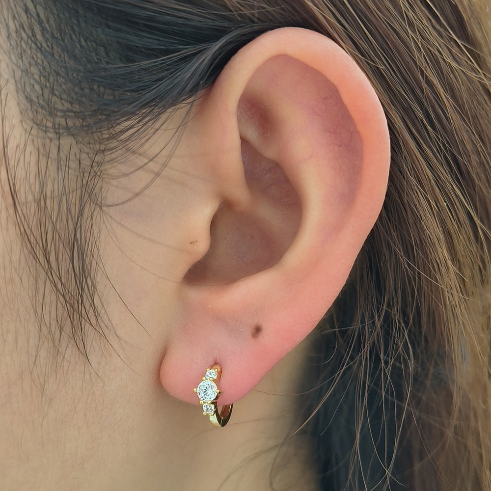 European and American S925 Sterling Silver Zircon Earrings