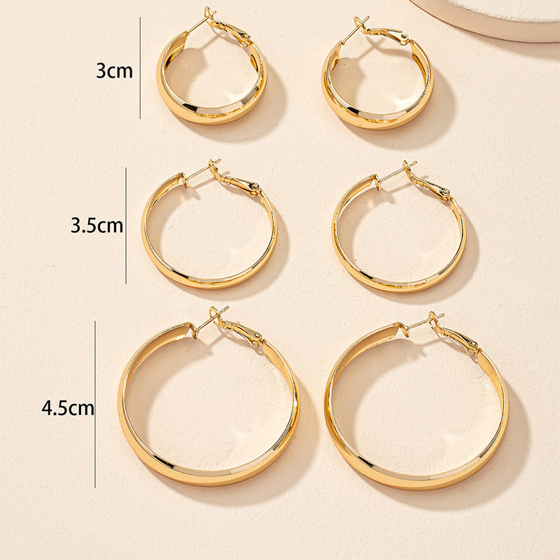 Luxurious Vienna Verve Metal Hoop Earrings Set