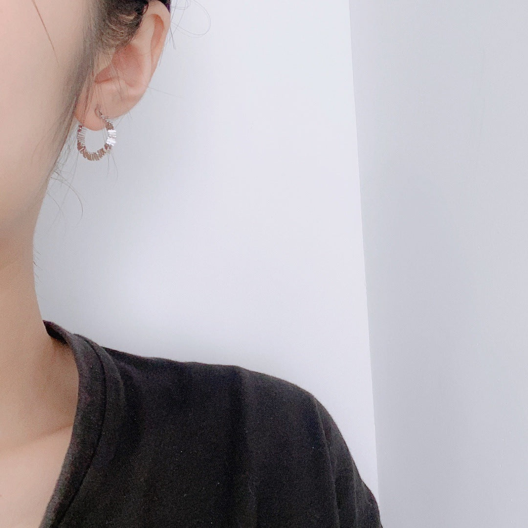 Korean Version 925 Sterling Silver Women's Earrings