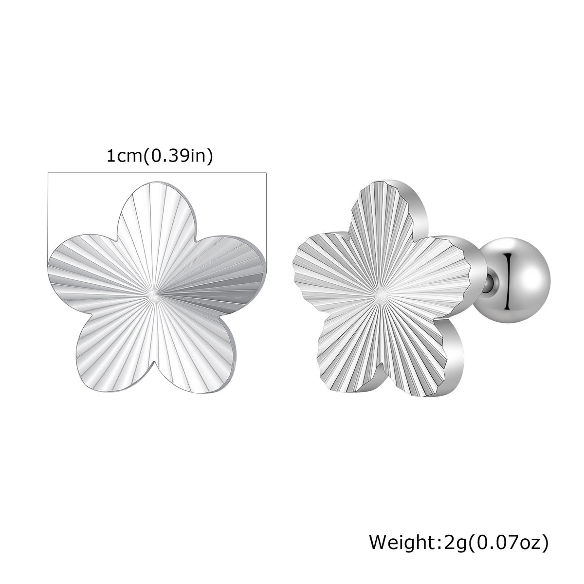 Stainless Steel Zircon Earrings