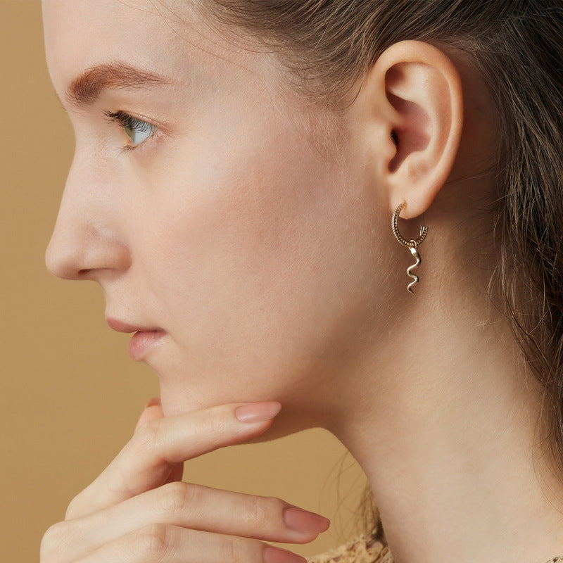 Zircon Eyes Snake Pendant C Shape Sterling Silver Drop Earrings