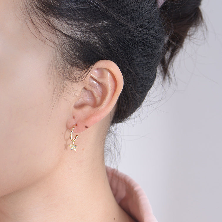 Star Moon with Zircon Pendant Silver Studs Earrings for Women
