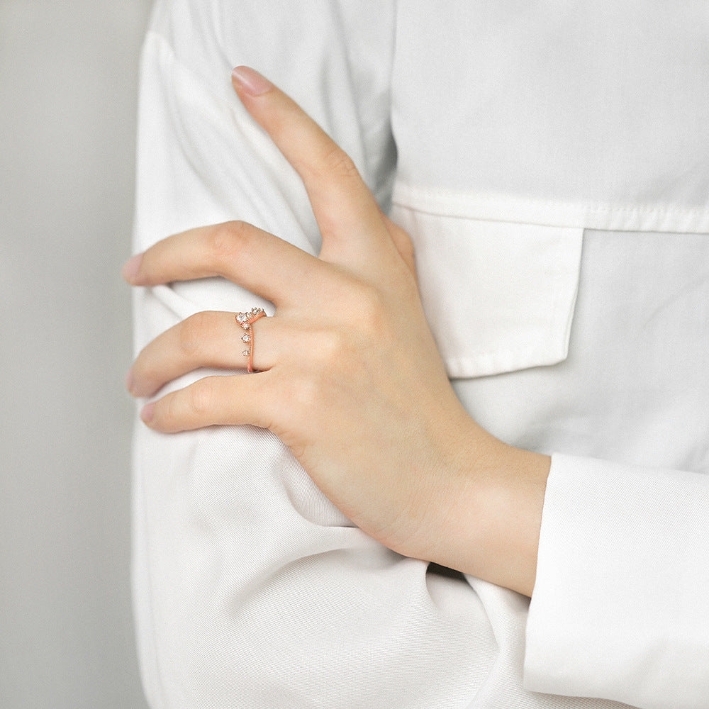 V-shaped Crown with Round Zircon Silver Ring