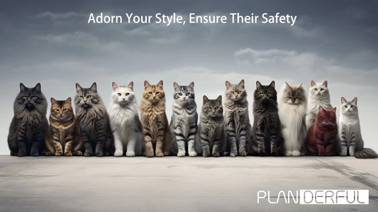 Adopt, Don't Shop: A Pledge for Feline Lives