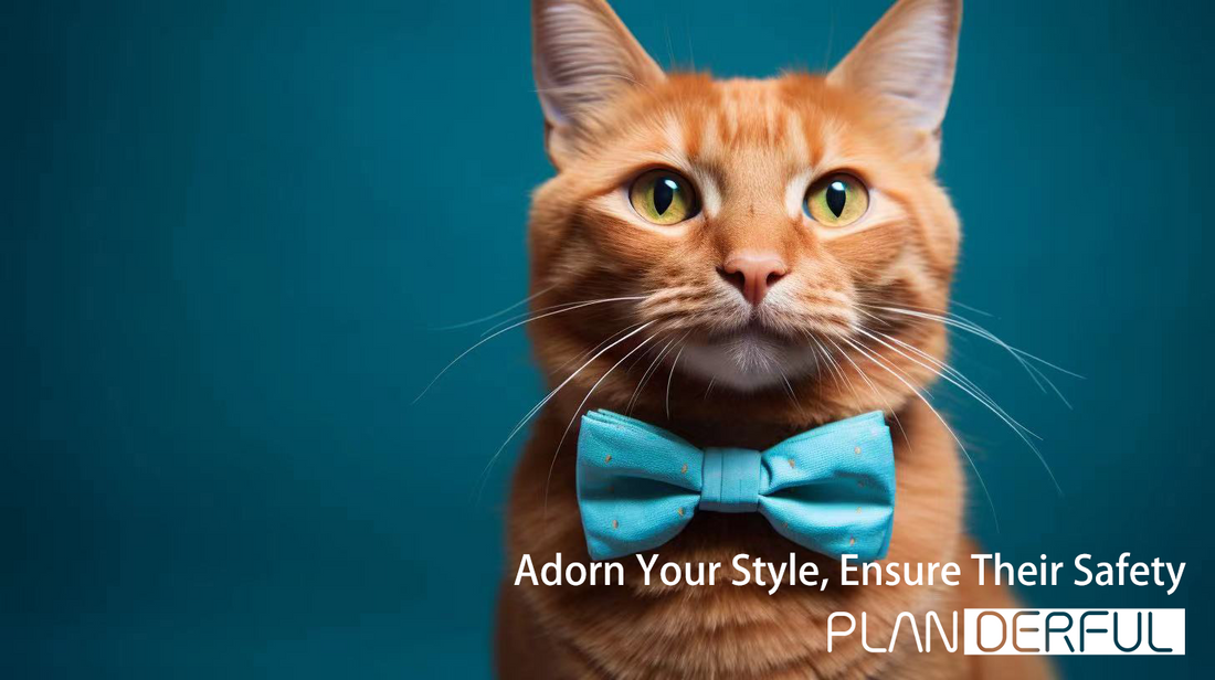 Beyond Adornment: Making a Lasting Difference