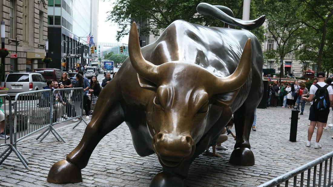 Why the Ox Should Embrace New Opportunities in 2025: A Comprehensive Guide