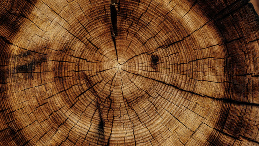 The Timeless Appeal of Wooden Rings for Men