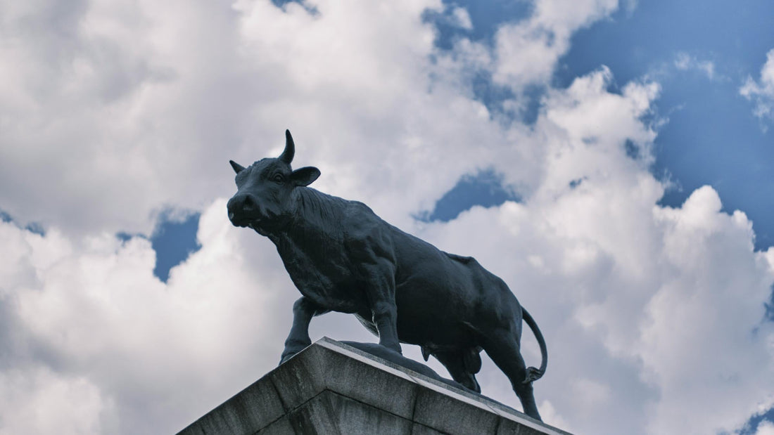 What the Ox Needs to Focus on for Success in the Year of the Snake: A Comprehensive Guide