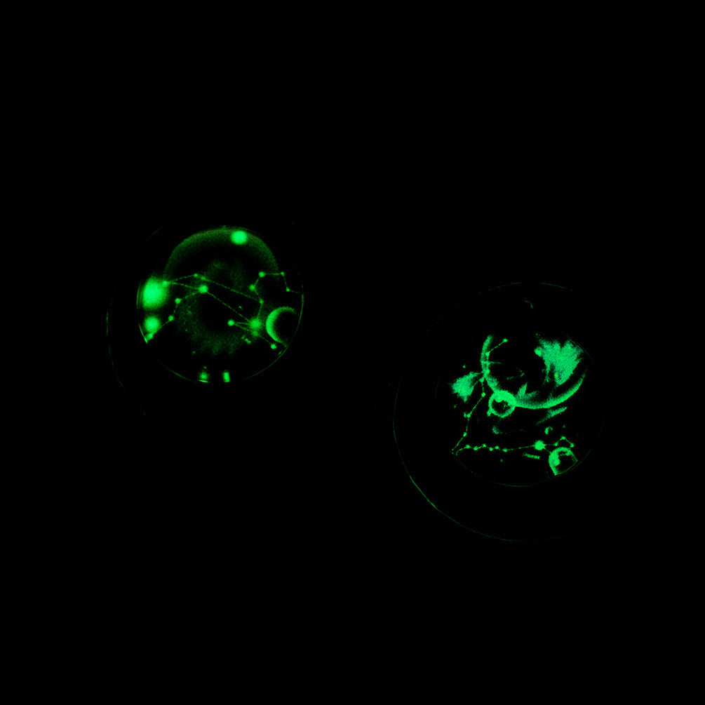 Ins Harajuku Constellation Starry Sky Luminous Pendant for Men