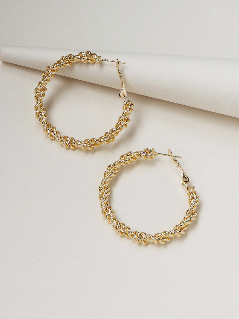 Metallic Elegance Geometric Circle Earrings
