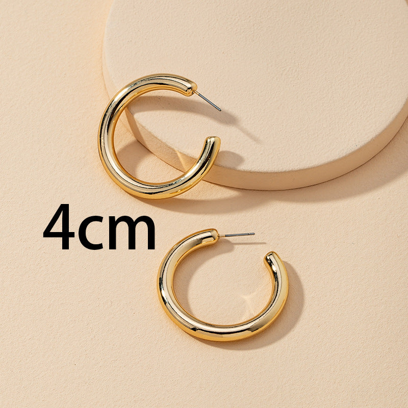 European Style Metal Earrings Set - Vienna Verve Collection