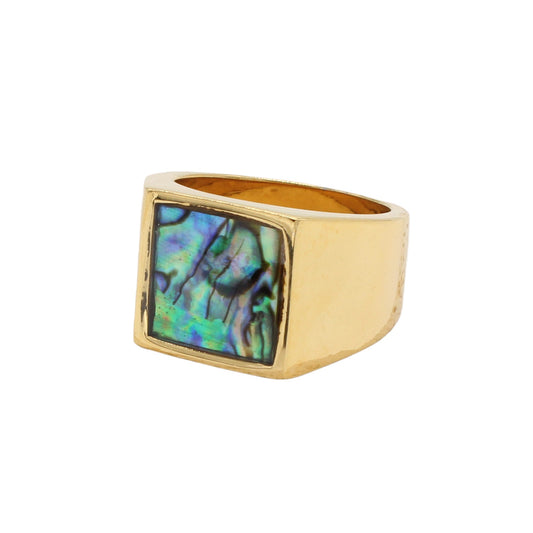 Planderful Gold Plated Titanium Steel Ring Unisex Durable Fashion Jewelry For Men And Women Size 7 To 12 Everyday Genie