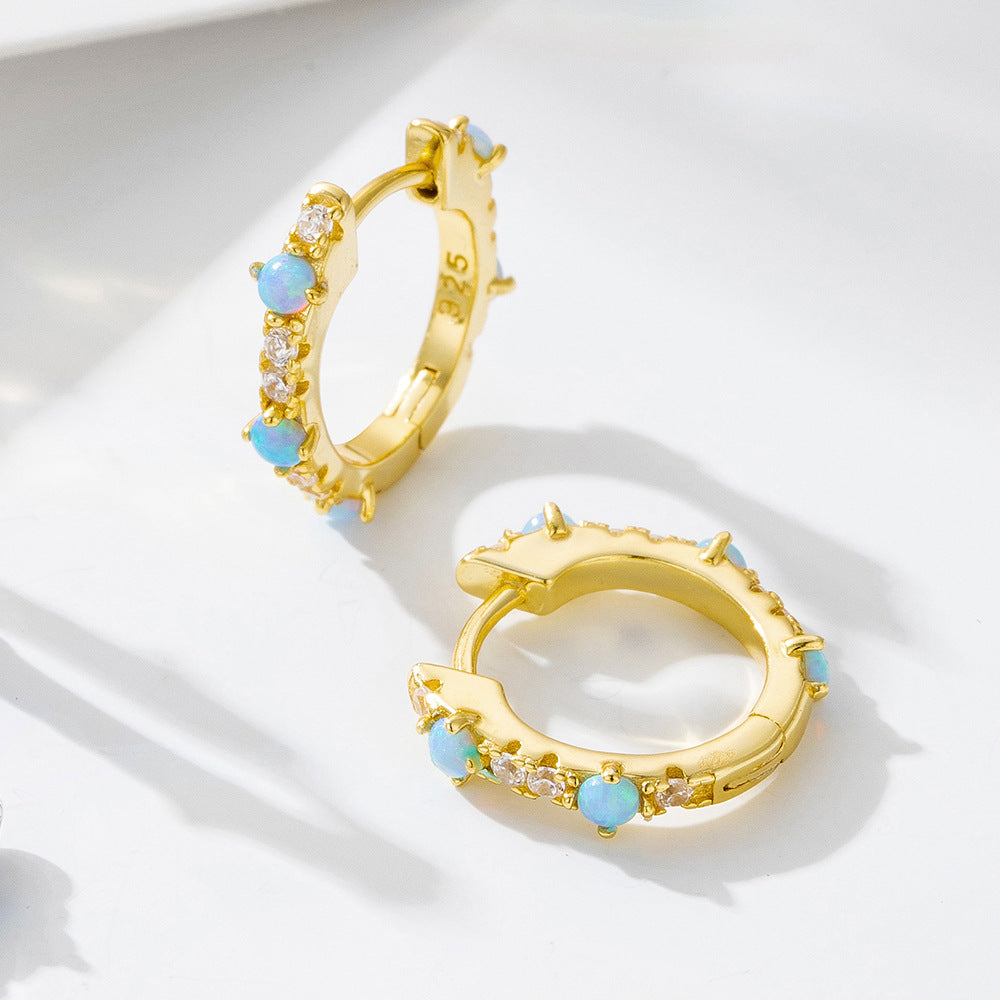 Circle Opal Zircon Earrings S925 Sterling Silver And Earrings