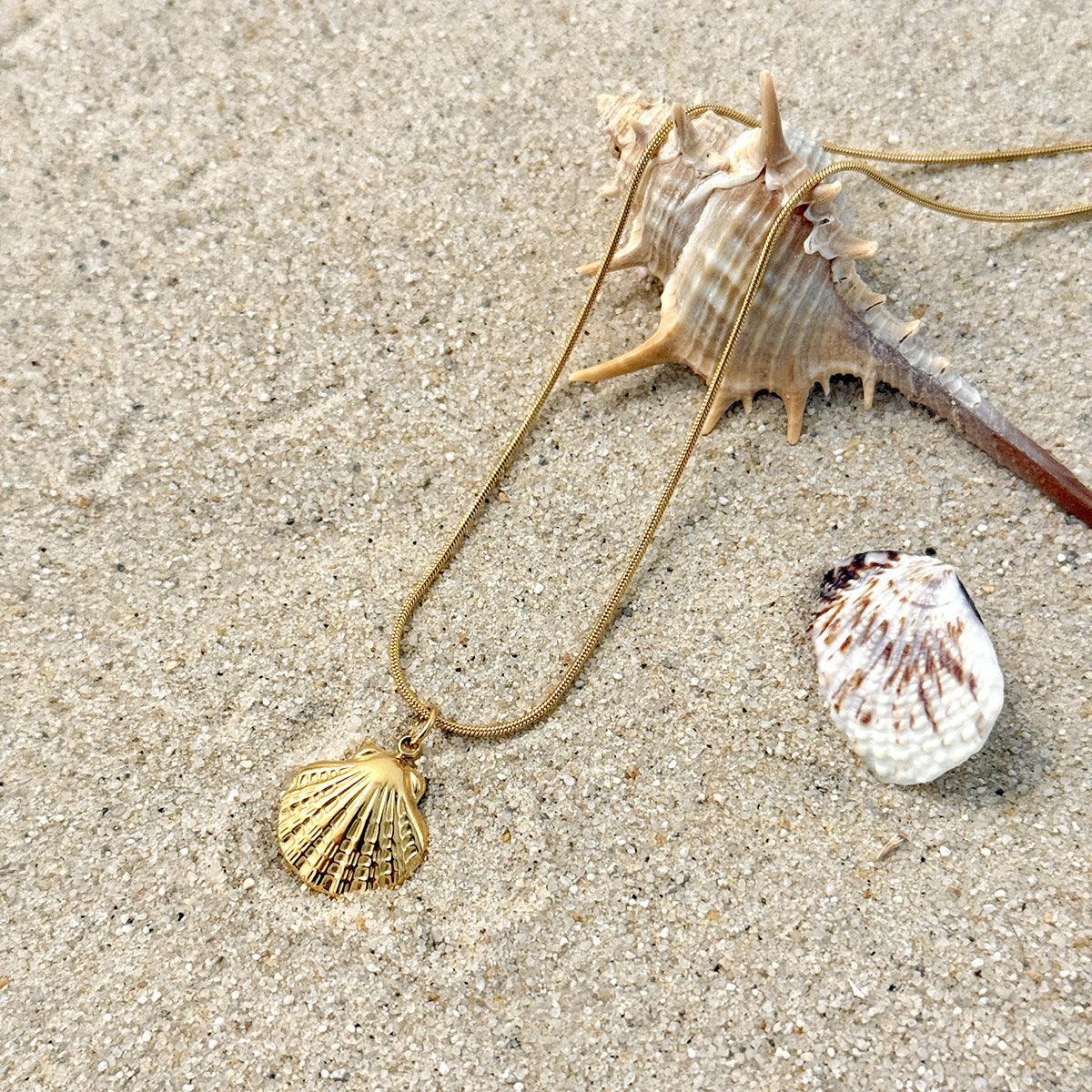 Stainless Steel Thin Chain Flower Collarbone Necklace Ocean Wind Conch Shell Star