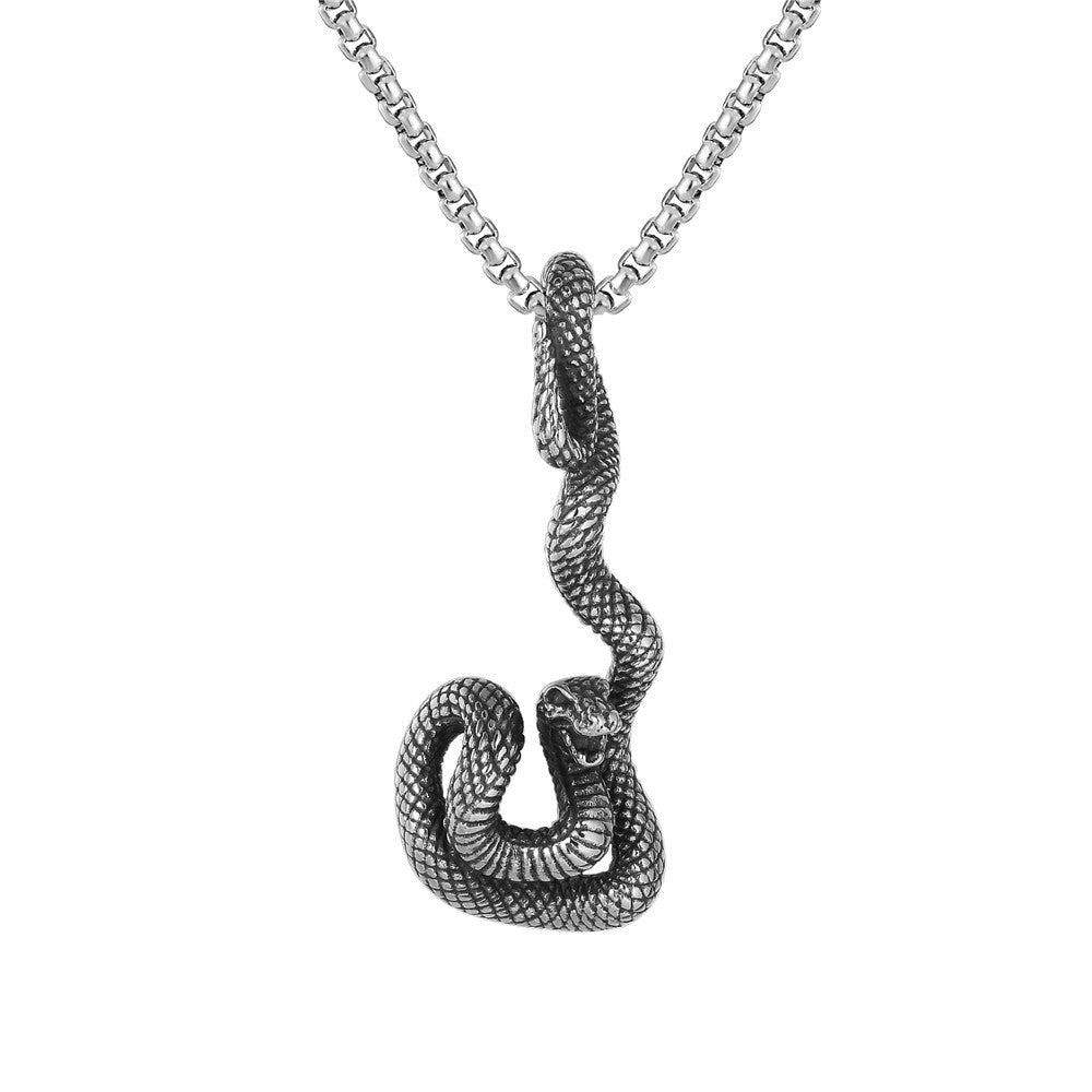 Planderful Snake Pendant Titanium Steel Unisex Retro European American Style Protection Statement For Men