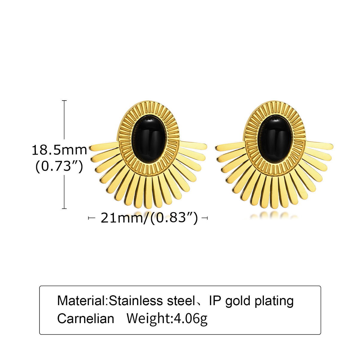 Stainless Steel Black Earrings