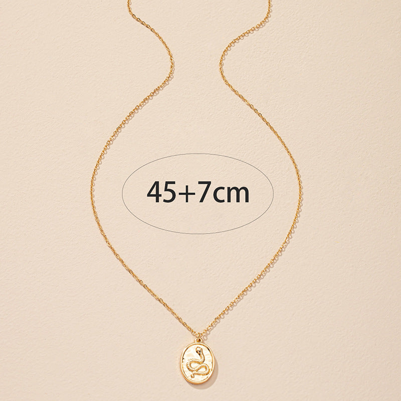 Sunlit Serpent: Personalized Minimalist Snake Necklace with Collarbone Chain