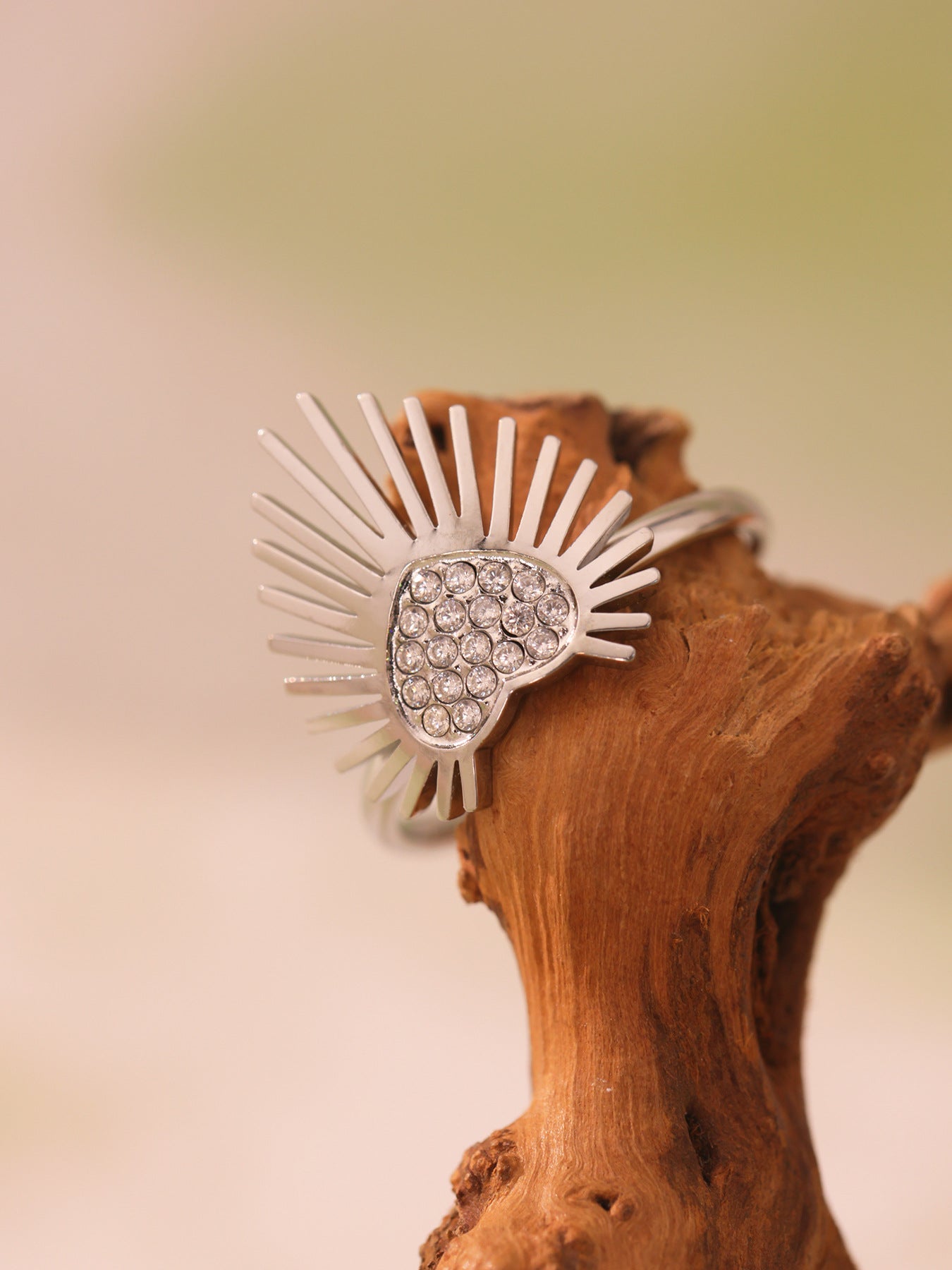 Planderful Open Zircon Wing Ring Size 7 For Women Stainless