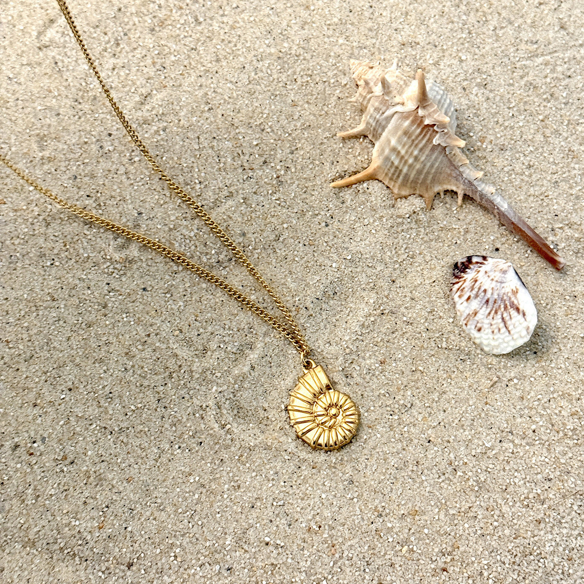 Stainless Steel Thin Chain Flower Collarbone Necklace Ocean Wind Conch Shell Star