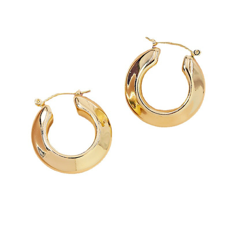 Elegant Metal Earrings from Vienna Verve Collection