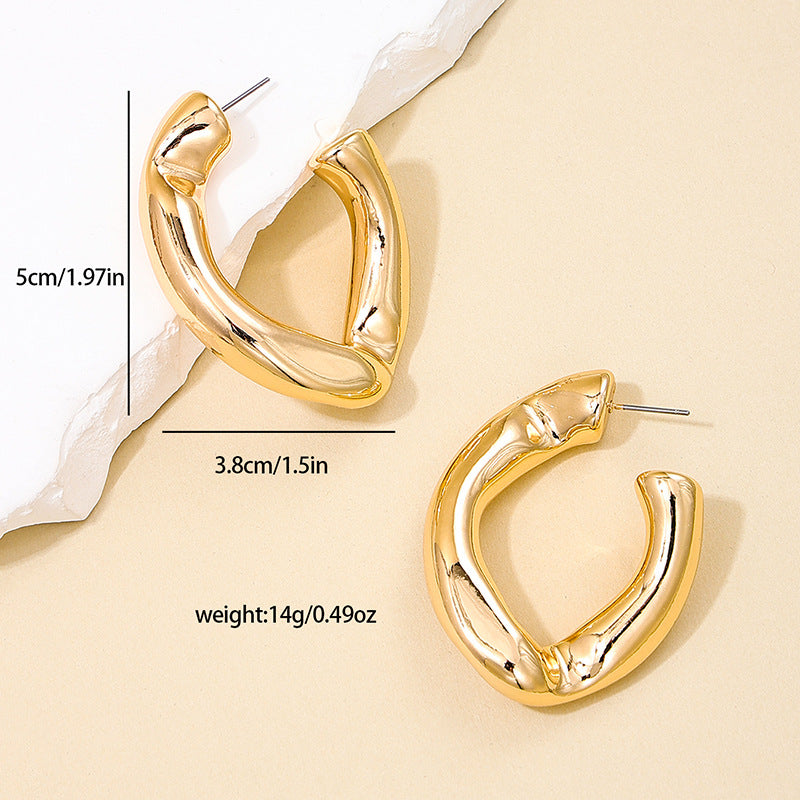 Exaggerated Geometric Style Hip-Hop Earrings - Vienna Verve Collection
