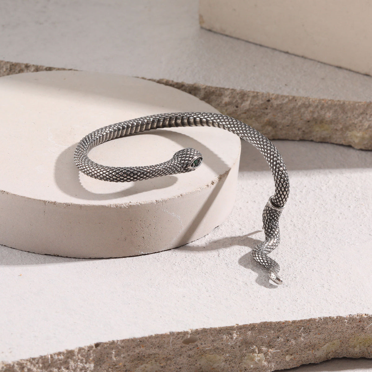 Snake Stainless Steel Earring — Left Ear