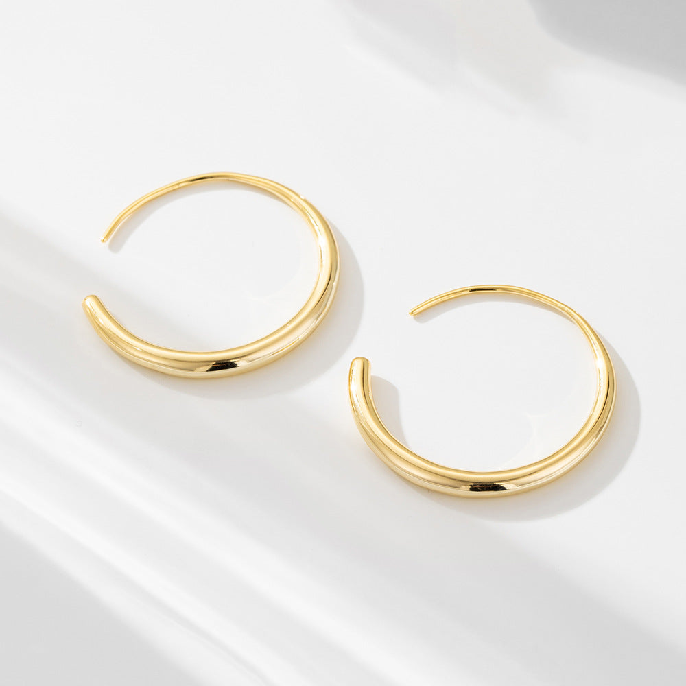 Geometric Circle Sterling Silver Earrings Creative Hip-Hop Earrings Ear