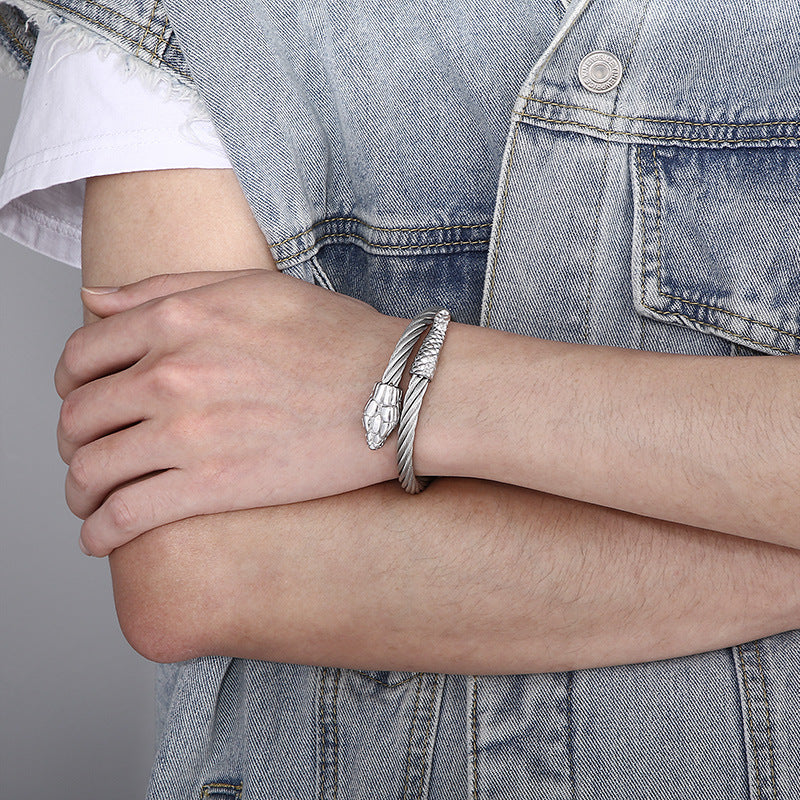 Braided Wire Steel Wire Bracelet – Street Rock Hip-Hop Multi-Color Zodiac Snake Titanium Steel
