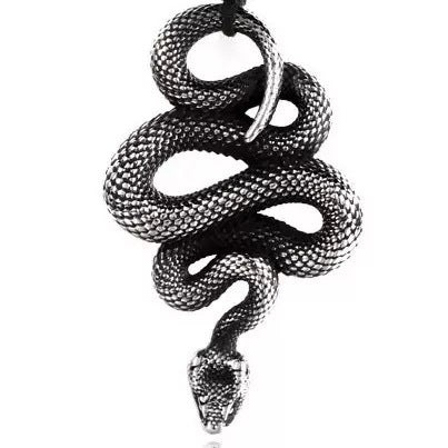 Planderful Stainless Steel Snake Pendant Necklace For Men Personalized Creative Design