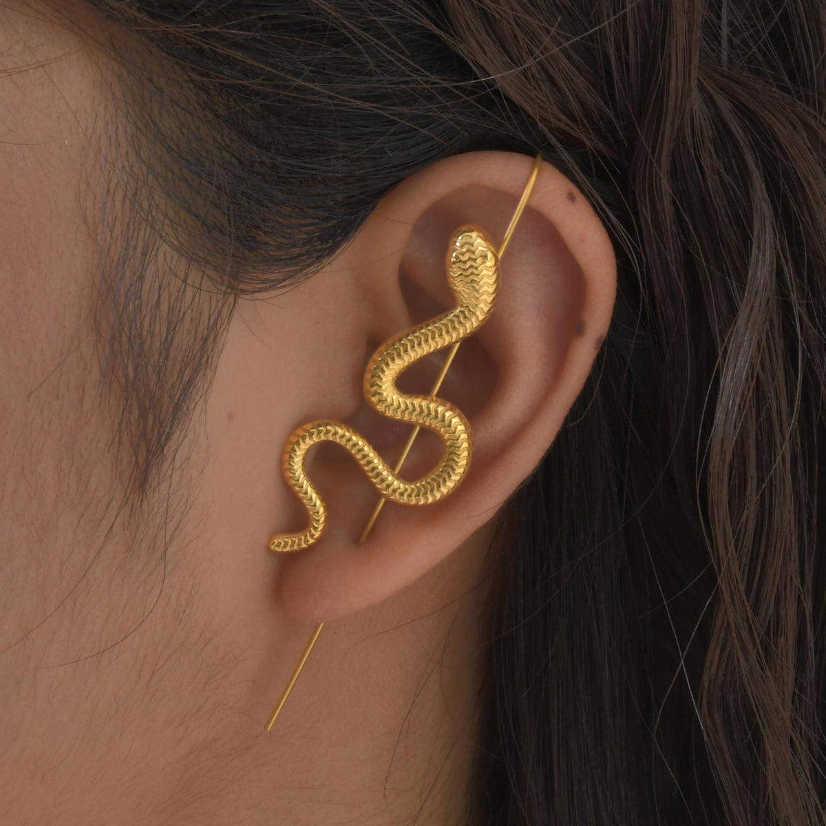 Stainless Steel Snake Earrings