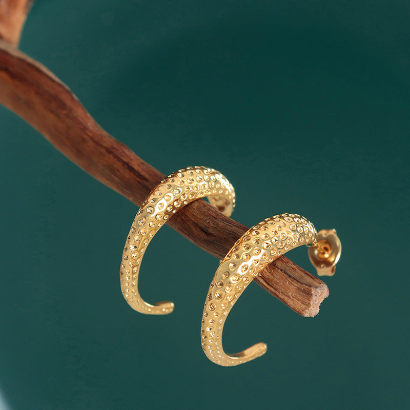 Elegant Titanium Steel Earrings with Irregular Patterns