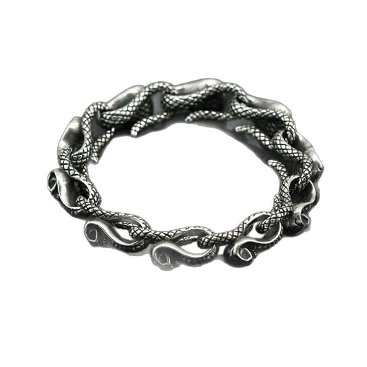 Planderful Skull Cobra Stainless Steel Bracelet for Men Unisex Punk Style Protection Statement