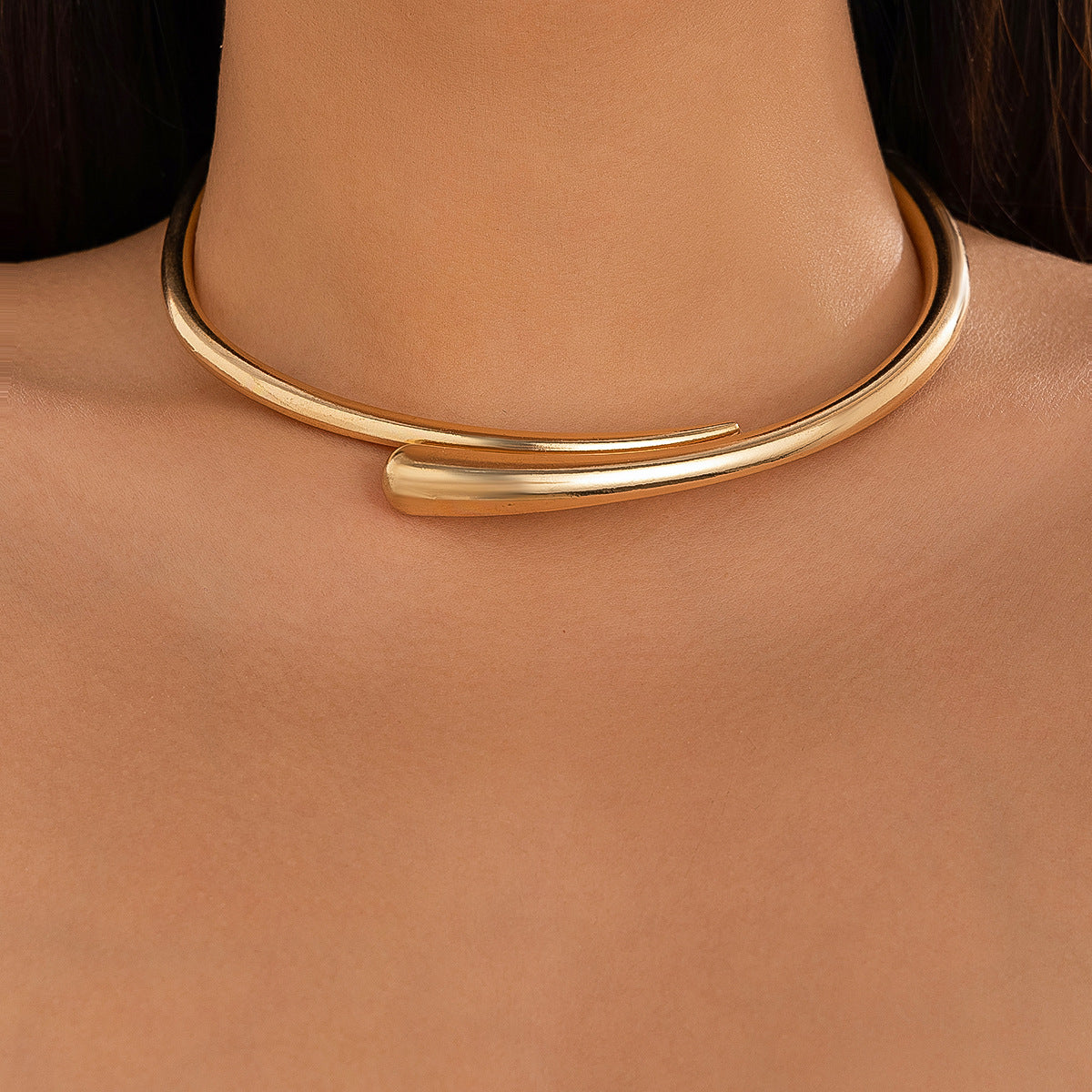 Planderful Vienna Verve Choker Necklace – Elegant Cold Metal Design