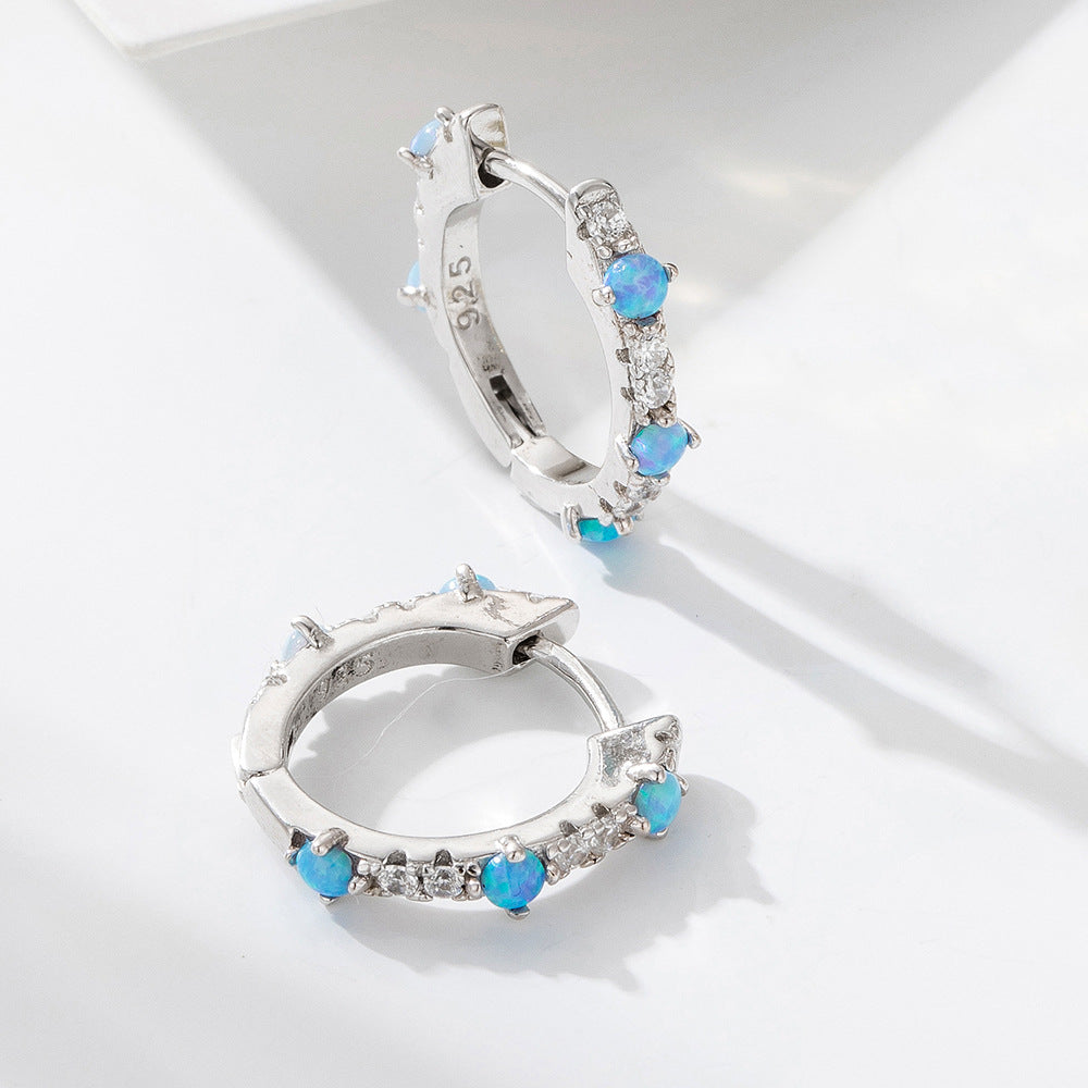 Circle Opal Zircon Earrings S925 Sterling Silver And Earrings