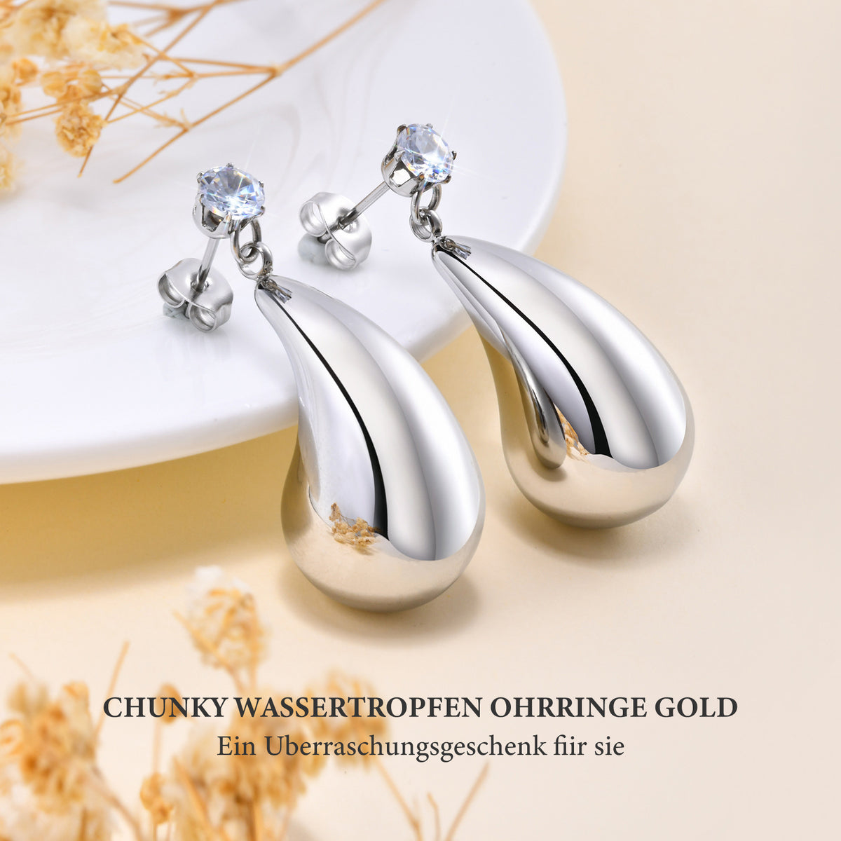 Stainless Steel Zircon Earrings