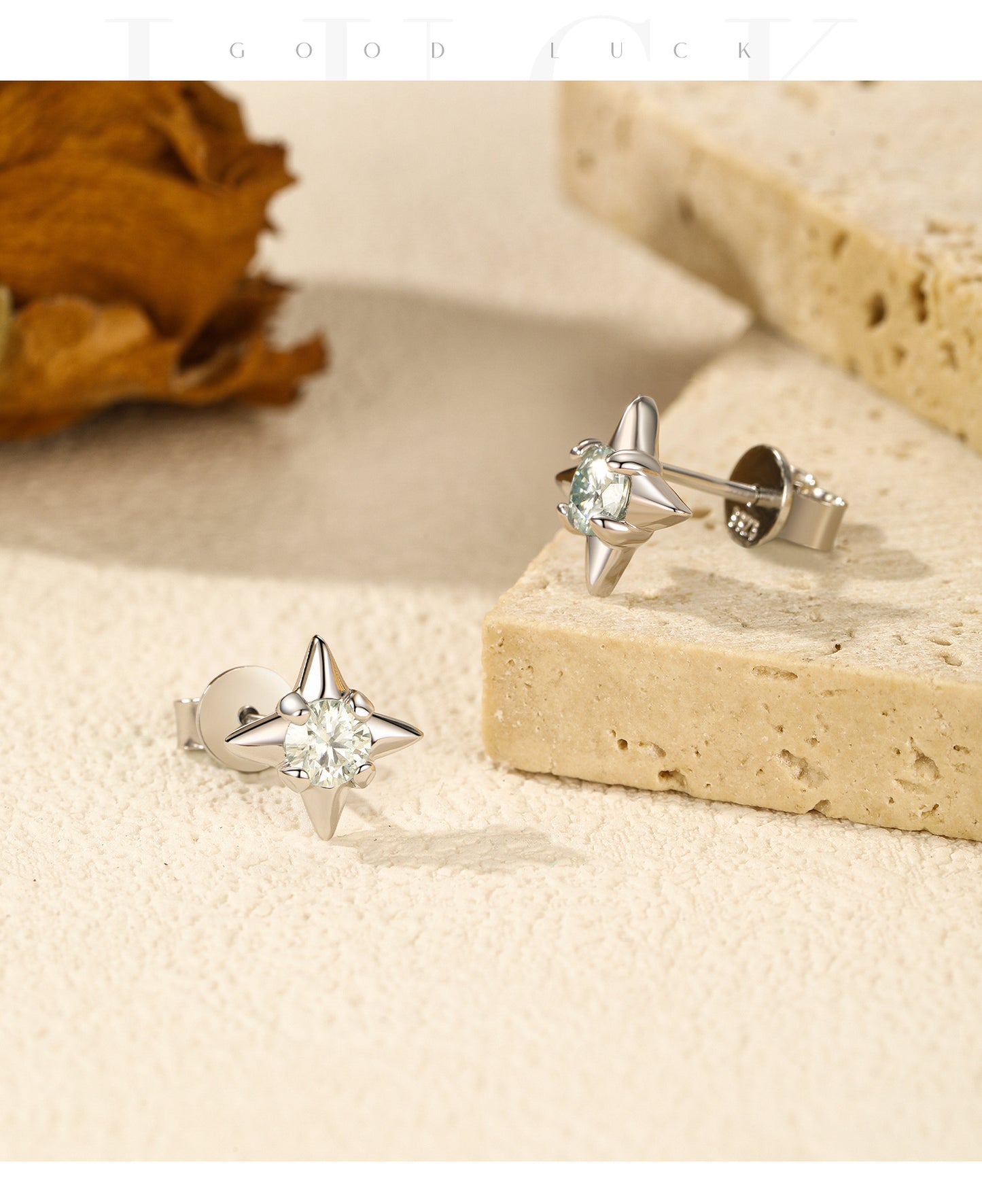 Planderful Moissanite Sparkling Earrings – Elegant Cold Feeling Design