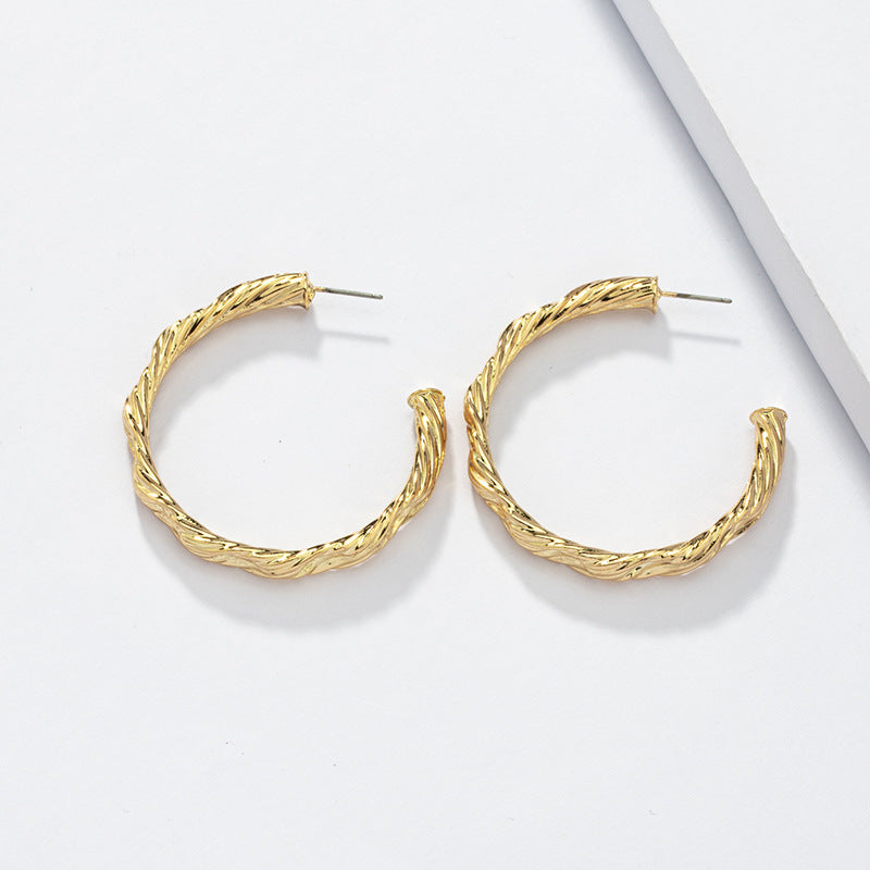 Cross-Border Metal Texture Earrings - Vienna Verve Collection