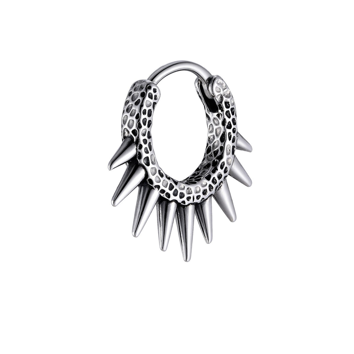 Stainless Steel Punk Earrings
