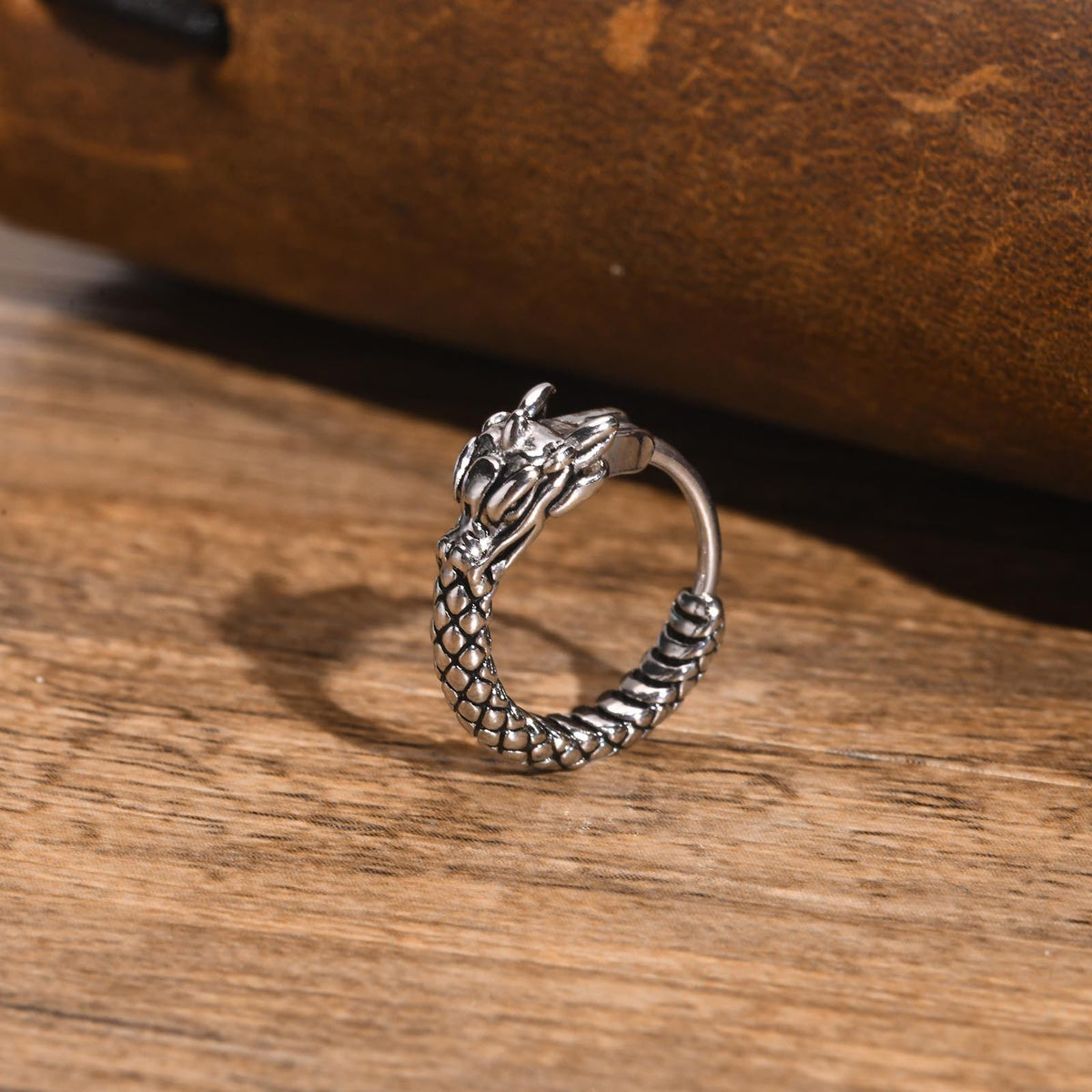 Stainless Steel Snake Vintage Earrings
