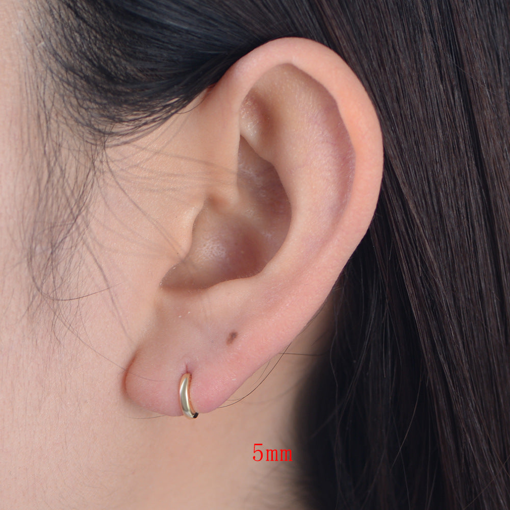 European And American Cross-Border S925 Sterling Silver Earrings