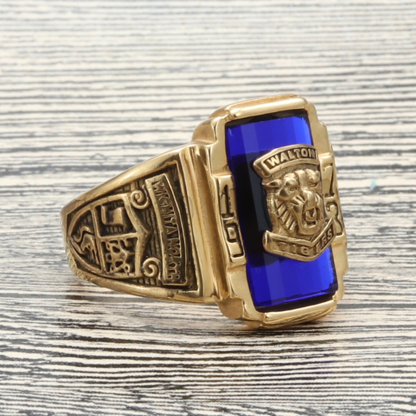 Titanium Steel Multi-Color Gemstone Lion Ring for Men - Retro Punk Style