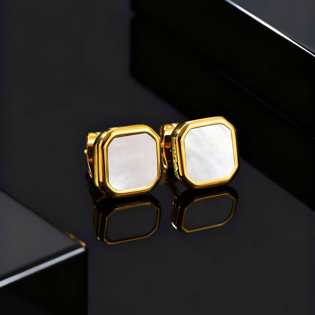 Stainless Steel Inlay Earrings — Six Styles