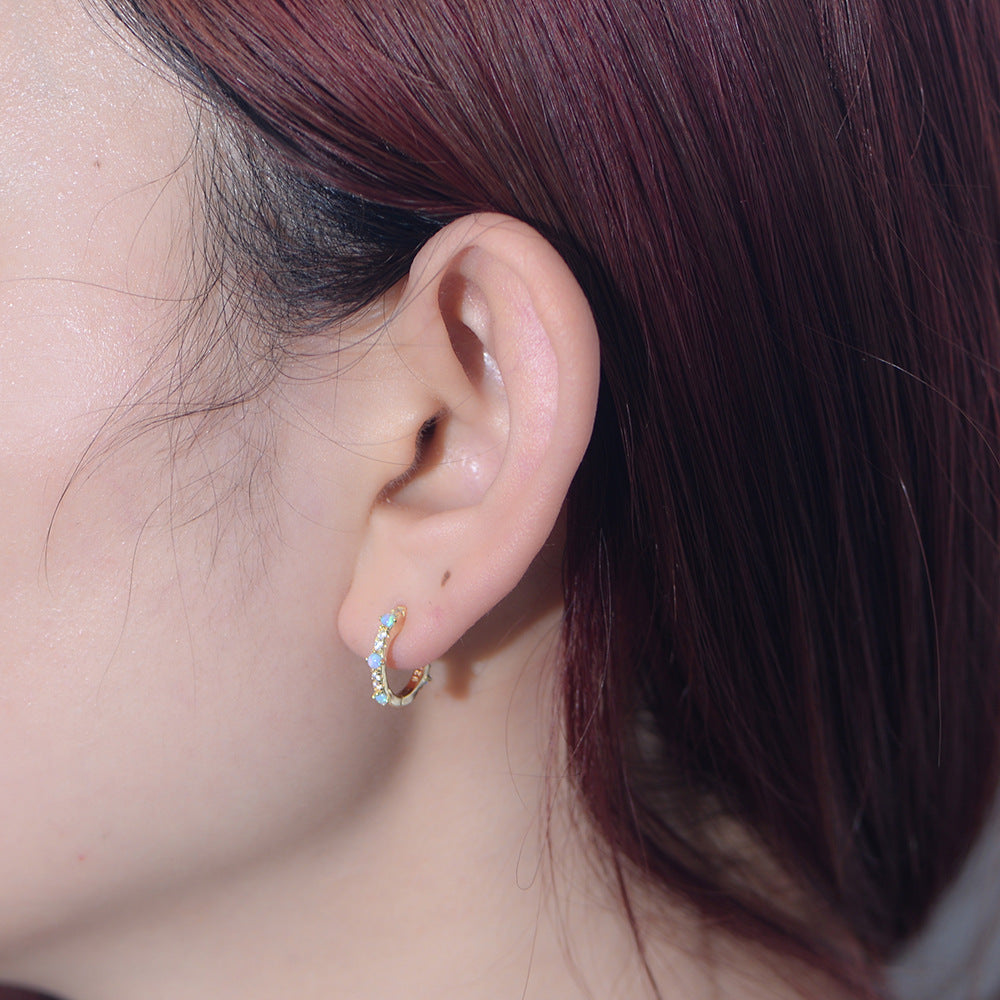 Circle Opal Zircon Earrings S925 Sterling Silver And Earrings
