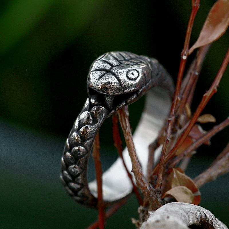 Custom Stainless Steel Ouroboros Ring for Men - Retro Zodiac Snake Design in Titanium Steel