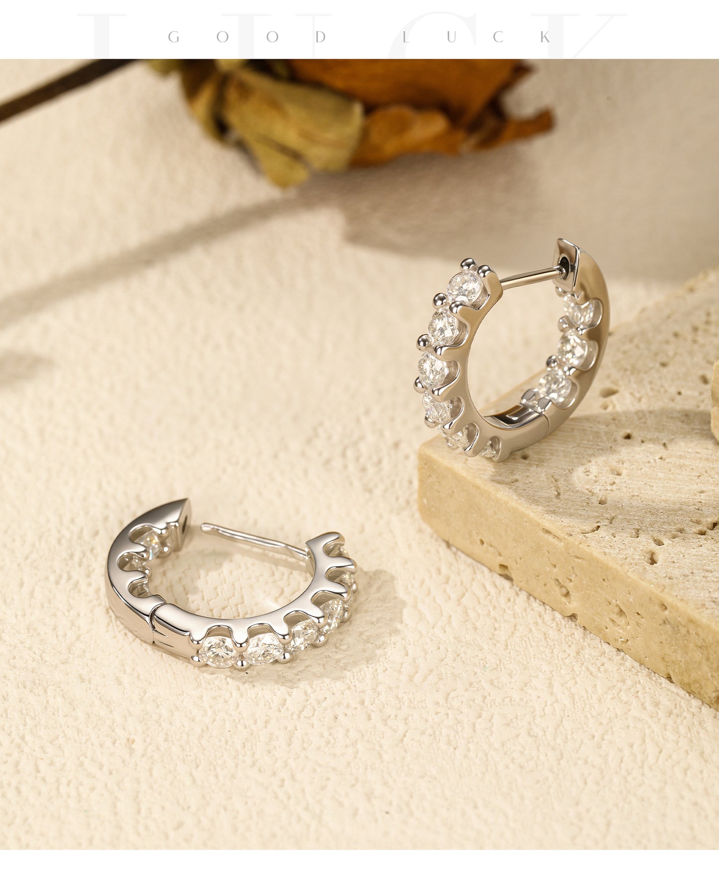 Planderful Moissanite Sparkling Earrings – High-End Light Luxury Design