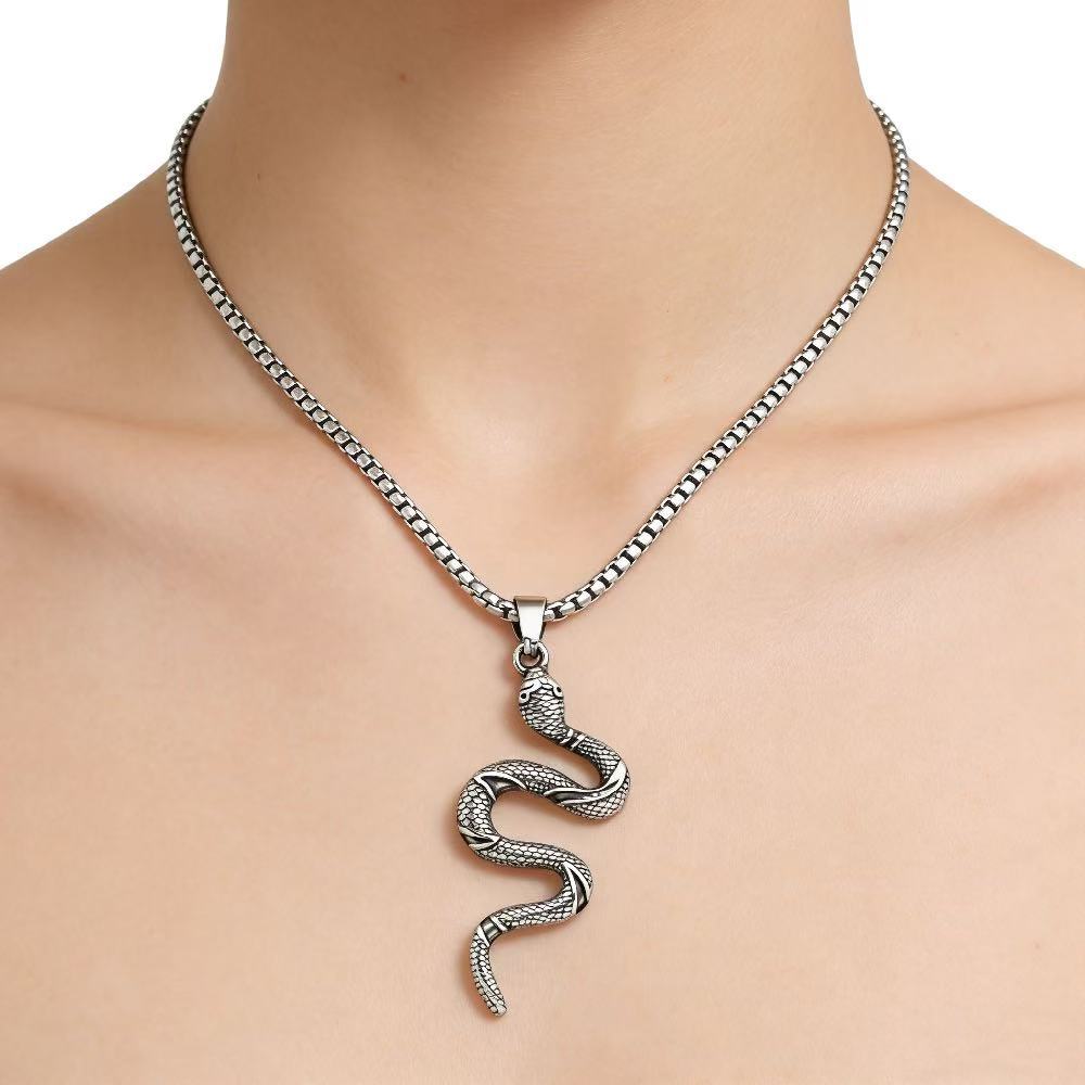 Personalized Retro Snake Pendant Titanium Steel Unisex Necklace By Planderful Gift For Jewelry Lovers