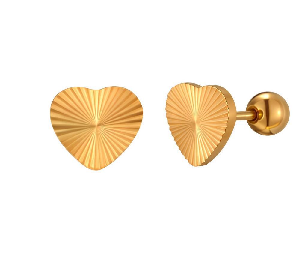 Stainless Steel Zircon Earrings