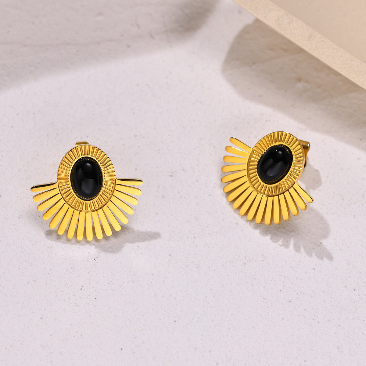 Stainless Steel Black Earrings