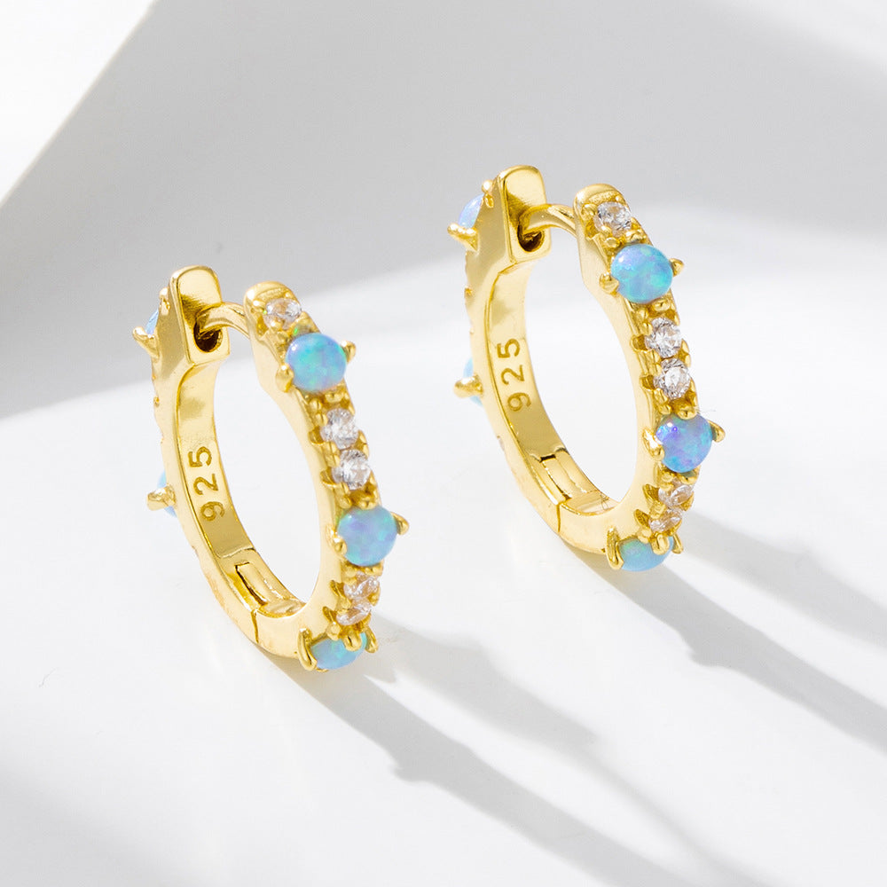 Circle Opal Zircon Earrings S925 Sterling Silver And Earrings