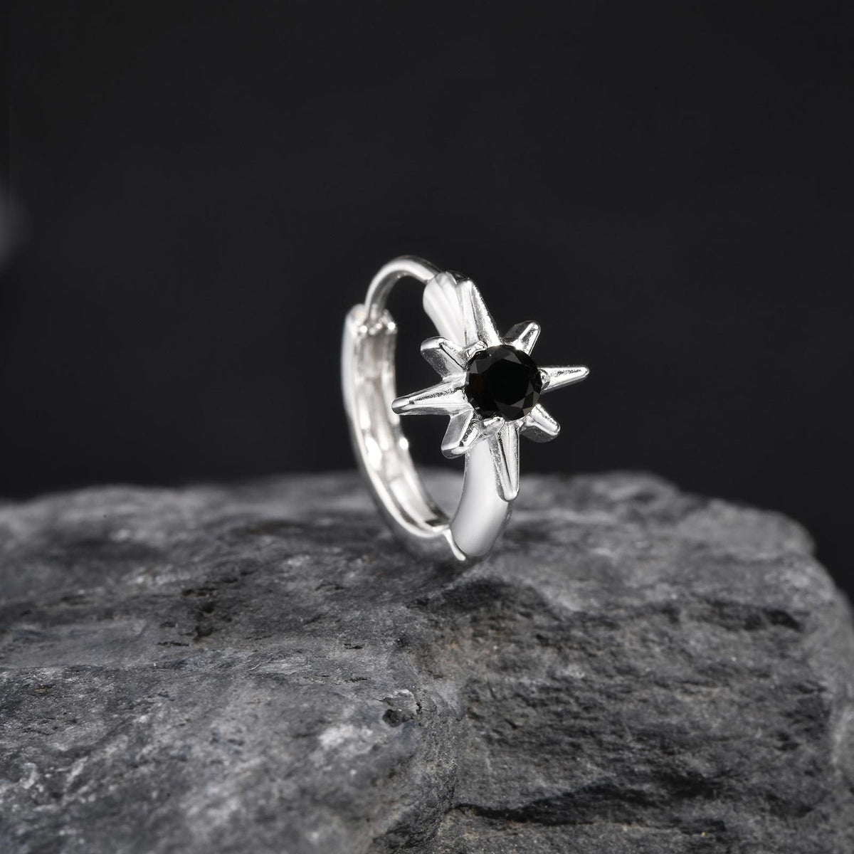 Stainless Steel Zircon Black Earrings